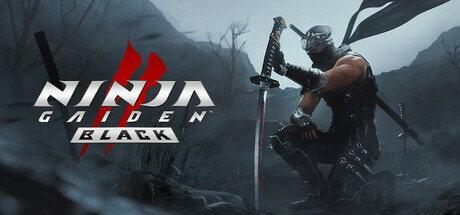 忍者龙剑传2：黑之章/NINJA GAIDEN 2 Black  v1.0.7.0  免安装中文版-梨子乐游戏