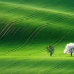 赵无极的头像-梨子乐游戏