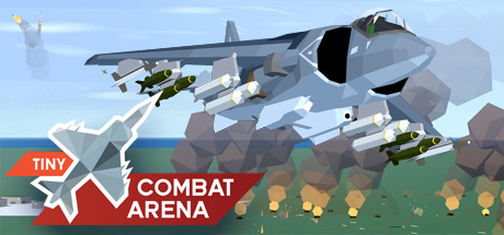 Tiny Combat Arena-梨子乐游戏
