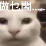 a1206476245的头像-梨子乐游戏